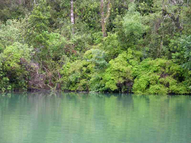 Laguna Verde am Lago Llanquihue