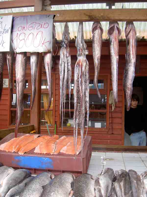 Angelmó, Fische
