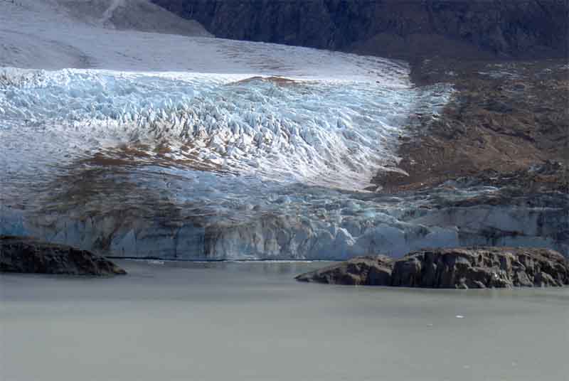 Laguna Torre, Gletscher
